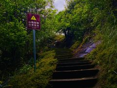 -广州白江湖森林公园