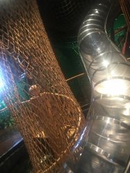 -奇幻丛林(佛罗伦萨小镇店)