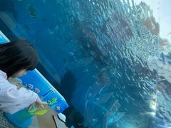 -海棠湾洲际-涛·海底餐厅·美人鱼·自助餐·海底隧道