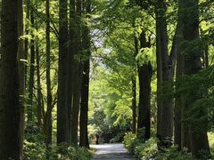 -上海滨江森林公园