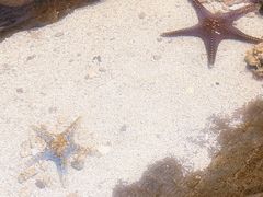 -江和美海洋公园
