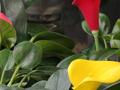 -大润发(王庄店)