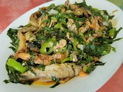 -天强农家菜馆
