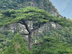 -圣莲山风景区