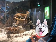 -陕西自然博物馆