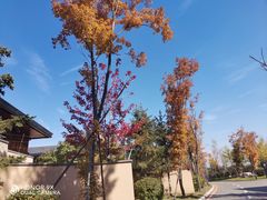 -清河半岛温泉度假酒店