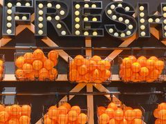 -KPRO 帕尼尼·沙拉·缤纷拼盘(万象城店)