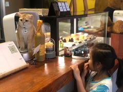 -咖法森林·咖啡  酒吧(天河店)