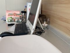 -瑞派宠物医院·犬猫全科·猫友好(宾水西道店)