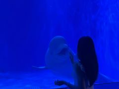 -多彩贵州城极地海洋世界