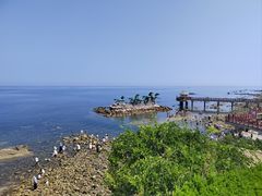 -养马岛旅游度假区