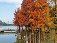 -顺峰山公园