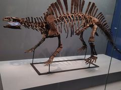 -湖南省地质博物馆