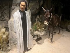 -西安电影制片厂