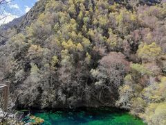 -叠溪松坪沟景区