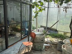 -马陆小张葡萄园农家乐