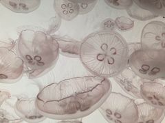 -沈阳海洋探索中心