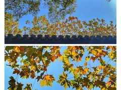 -苏州碑刻博物馆