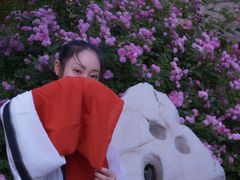 -碑林公园