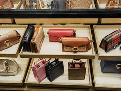 -COACH(深圳宝安国际机场T3航站楼店)