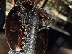 -Oyster Talks 四度蚝法餐厅