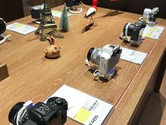 -顺电sundan(颐堤港店)