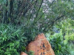 -晓港公园