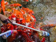 -太平洋海底世界