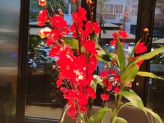 -鑫小城故事·藕汤·家常菜(台北一路总店)