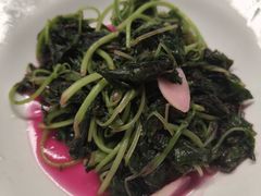 -葱妈母婴医护月嫂中心(浦东店)