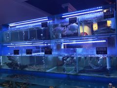 -鼎记啫啫煲(数博万达店)