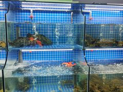 -星记小馆·小蓝龙·老南京砂锅菜(上海路店)