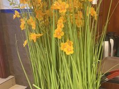 -澳洲肥牛火锅(转盘路店)