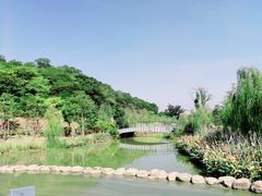 -飞凤山奥体公园