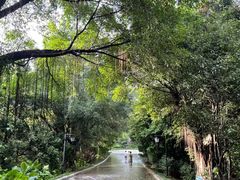 -福建鲤鱼洲酒店