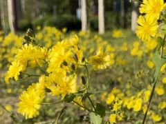 -天津海河悦榕庄·Lobby Lounge大堂吧