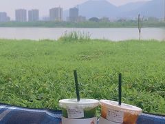 -飞来湖湿地公园