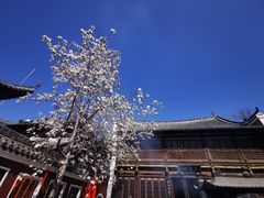 -长春观