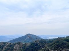 -十八棵（老龙井）御茶园(老龙井店)