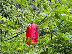 -石台牯牛降景区