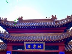 -桃花堤公园