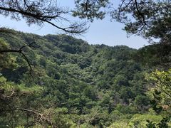 -金龙寺国家森林公园