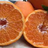 蒲江自家果园耙耙柑 10斤包邮 45-50元