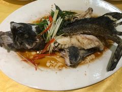 -莲花公园煎蟹(总店)