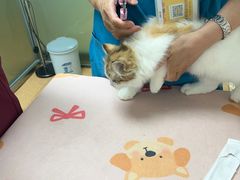 -宠颐生中康贝怡动物医院
