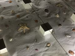 -青岛贝壳博物馆