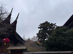 -龙华素斋(龙华路店)