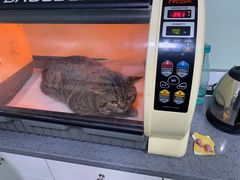 -瑞派宠物医院(锦江店)