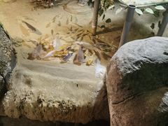 -泉城欧乐堡海洋极地世界