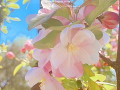 -海棠花溪(元大都城垣遗址公园)